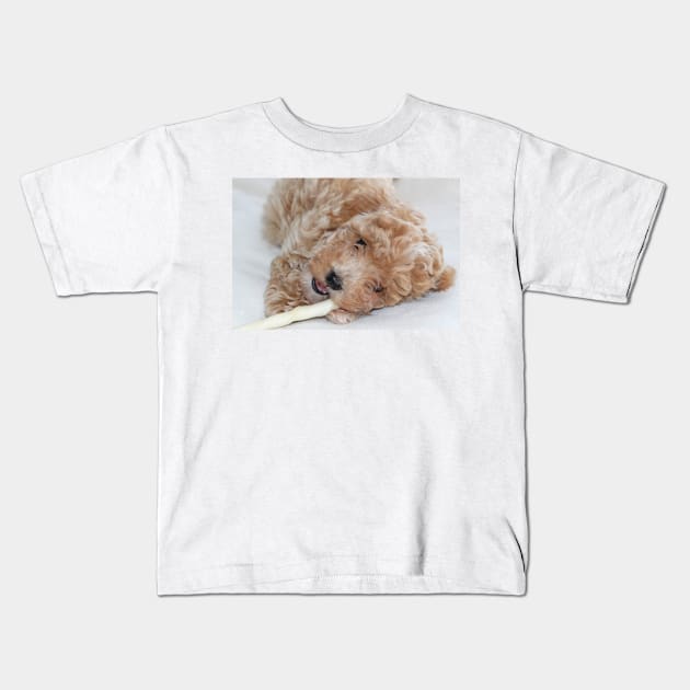 Maltipoo Puppy Kids T-Shirt by Furtographic